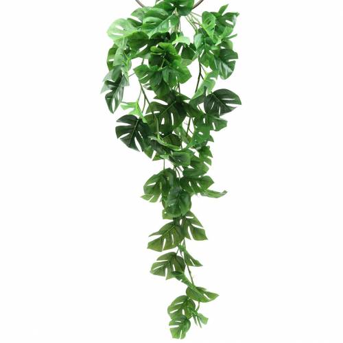 Floristik24 Cintre Philodendron vert 85cm