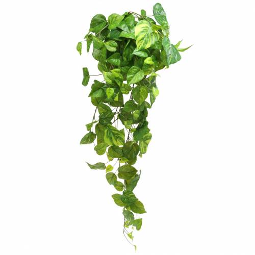 Floristik24 Cintre Philodendron 80cm