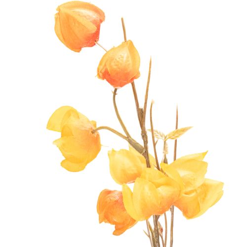 Plante artificielle de type lanterne chinoise, branche de Physalis avec fleurs, 95 cm | Floristik24.be