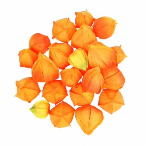 Floristik24 Physalis Orange Assortiment de 22 calices artificiels décoratifs