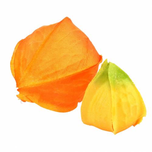 Floristik24 Physalis Orange Assortiment de 22 calices artificiels décoratifs