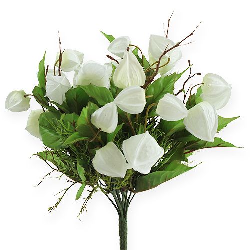 Floristik24 Buisson blanc de physalis 30 cm