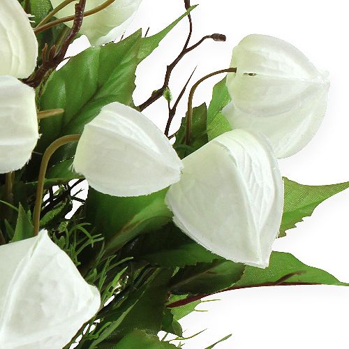 Article Buisson blanc de physalis 30 cm