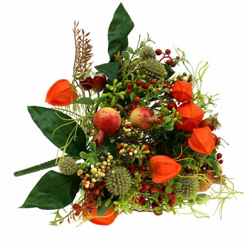 Floristik24 Bouquet d'automne physalis 26cm