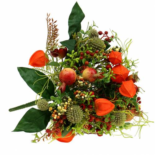 Floristik24 Bouquet d&#39;automne physalis 26cm