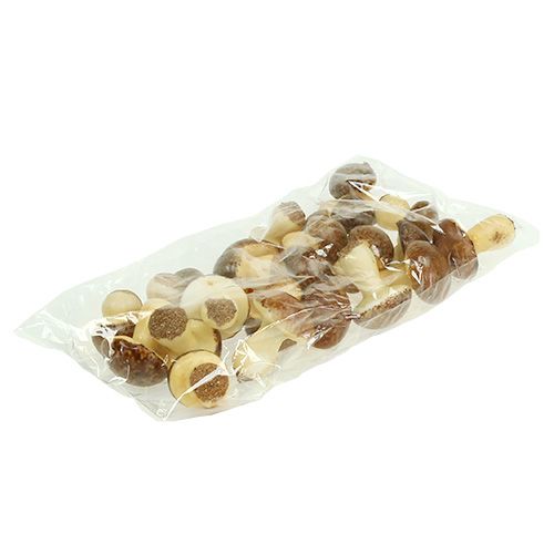 Floristik24 Mélange de champignons bruns 24 p.