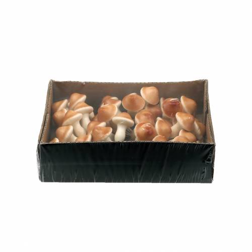 Floristik24 Champignons sur fil nature 2cm 48 pcs