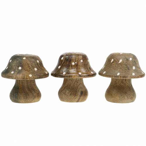 Floristik24 Champignon déco bois nature 5cm 6pcs