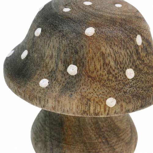 Floristik24 Champignon déco bois nature 5cm 6pcs