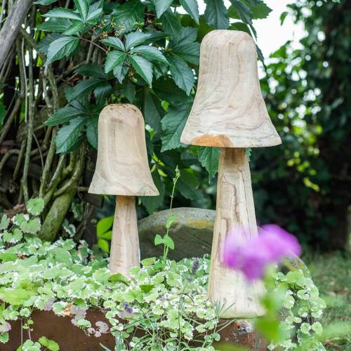 Floristik24 Bois de pin champignon Ø18cm H35cm