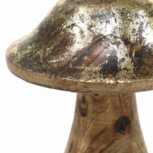 Floristik24 Champignon en bois doré, bois de manguier naturel Ø6.8cm H9.8cm 2pcs