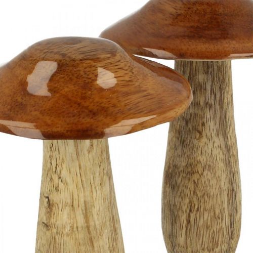 Floristik24 Champignon manguier marron, décoration de table nature automne Ø9cm H12cm 2pcs