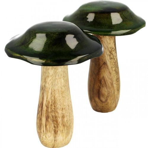 Floristik24 Décoration d&#39;automne en bois de manguier vert champignon en bois Ø9cmH11cm 2pcs