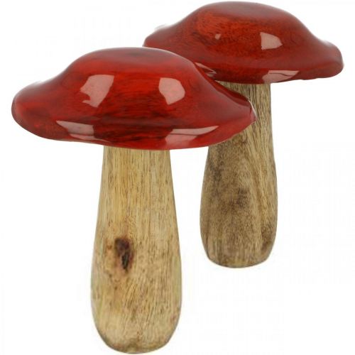 Floristik24 Champignon manguier rouge, décoration nature automne Ø9cm H12cm 2pcs