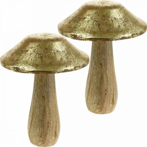 Floristik24 Champignon bois de manguier doré, champignons déco naturel grand Ø12cm H15cm 2pcs