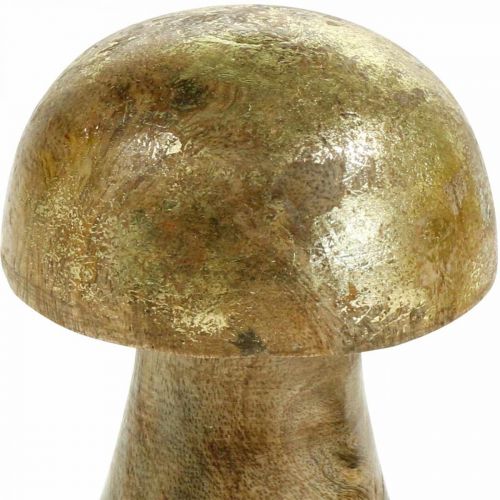 Floristik24 Champignon manguier doré, champignon naturel décoratif Ø6cm H10cm 4pcs