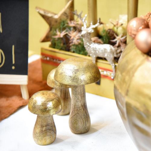 Floristik24 Champignon manguier doré, champignon naturel décoratif Ø6cm H10cm 4pcs