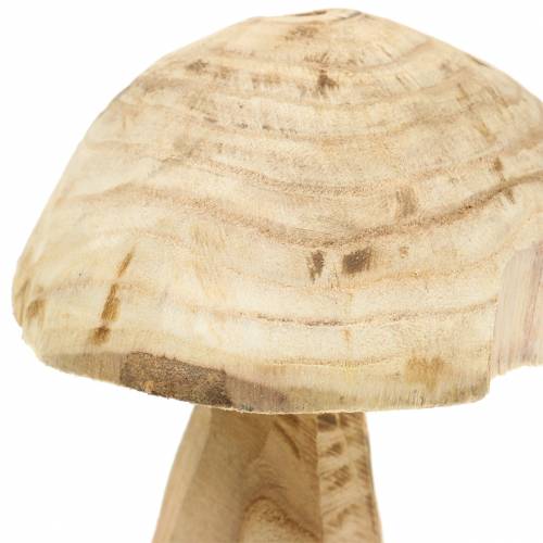 Floristik24 Champignon bois de paulownia Ø16cm H18cm