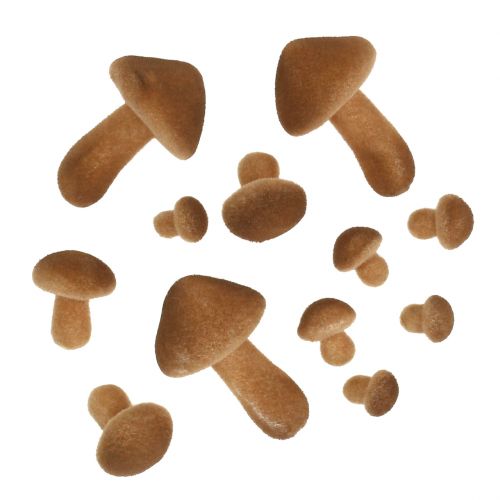 Floristik24 Mélange de champignons brun clair 2cm - 8cm 12pcs