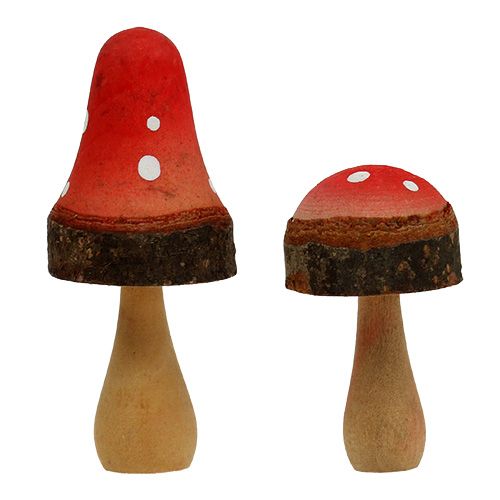 Floristik24 Mélange de champignons en bois 5.5cm - 8cm 8pcs