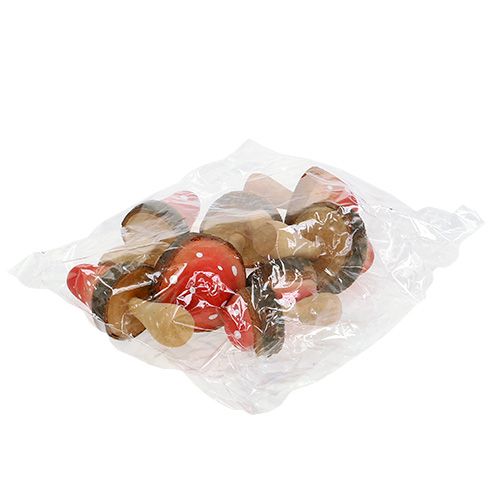 Floristik24 Mélange de champignons en bois 5.5cm - 8cm 8pcs