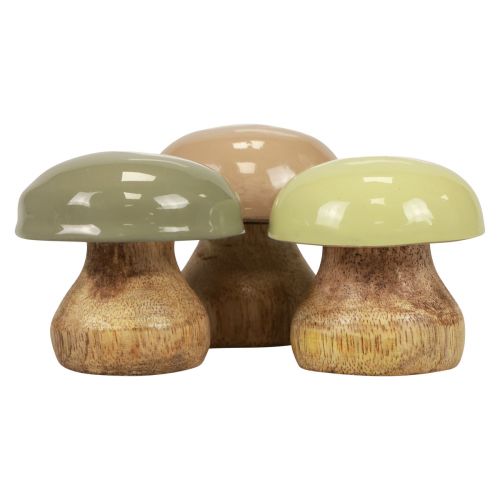 Floristik24 Champignons en Bois Déco Champignons Bois Déco Beige, Vert Ø5cm H5.5cm 12pcs