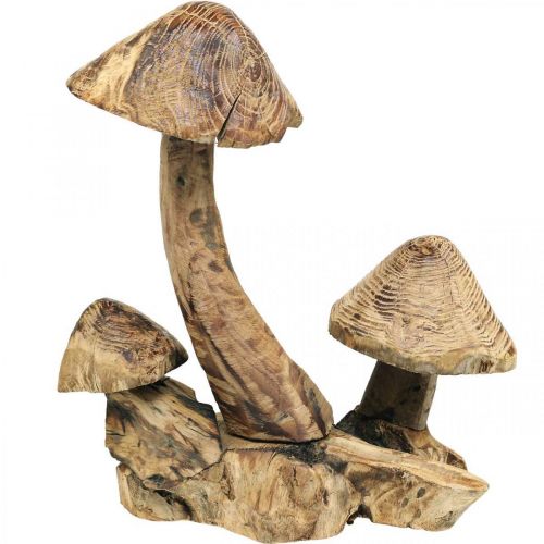 Floristik24 Groupe de champignons, bois de paulownia, décoration automne, sculpture bois H33cm L30cm