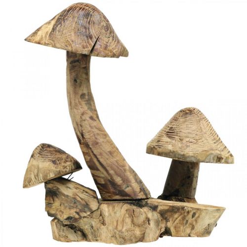 Floristik24 Groupe de champignons, bois de paulownia, décoration automne, sculpture bois H33cm L30cm