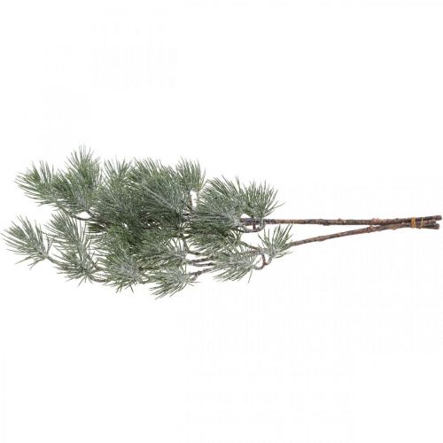 Floristik24 Branches de Noël Branche de pin Snowed 54cm 3pcs en bouquet