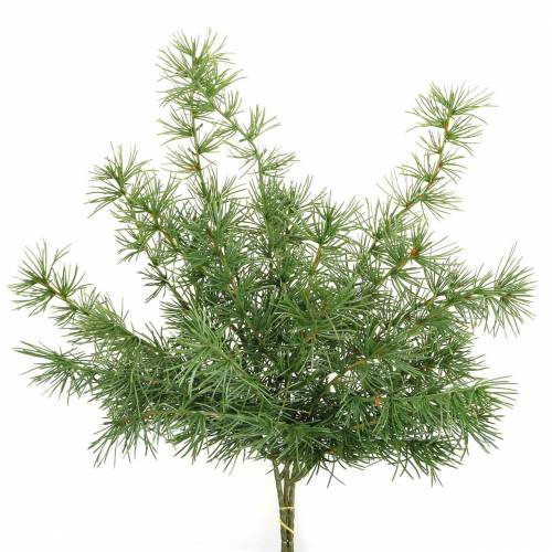 Floristik24 Branche de pin artificielle vert 53cm 3 pcs