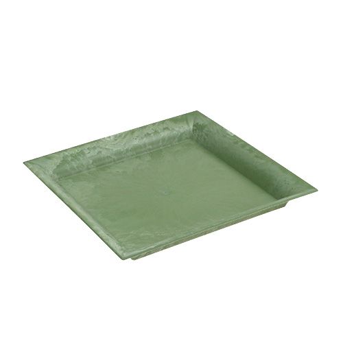 Floristik24 Assiette en plastique vert carré 19,5 x 19,5 cm
