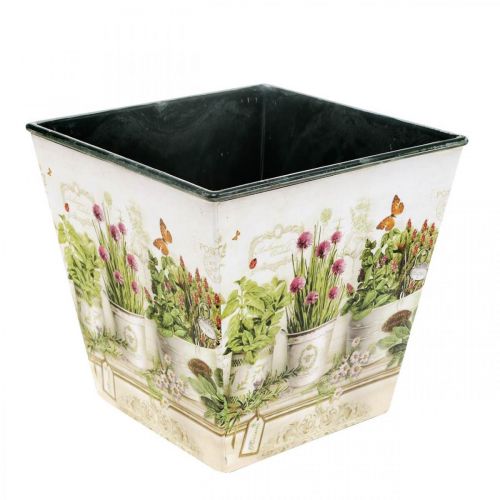 Floristik24 Pot à herbes, jardinière avec motif, jardinière H13cm L13,5cm