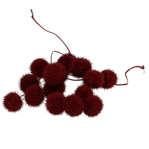 Floristik24 Fruits de platane séchés rouge foncé 250g
