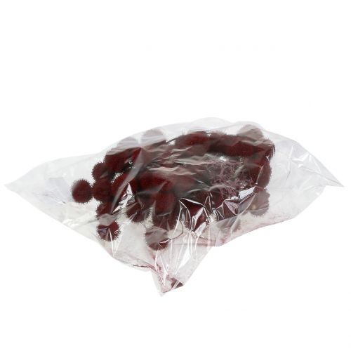 Floristik24 Fruits de platane séchés rouge foncé 250g