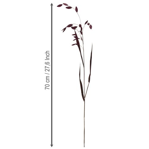 Article Herbe à oreilles plates herbe sèche Chasmantium violet 70cm 10 pcs