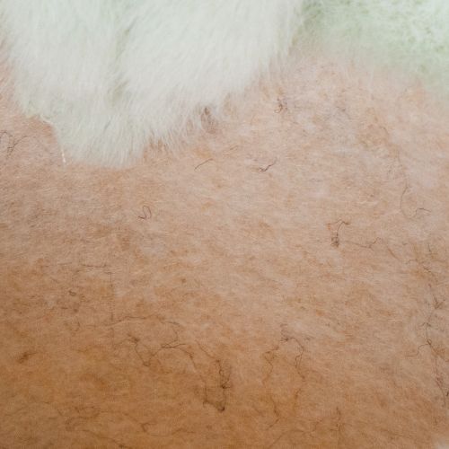 Article Paniers de rangement décoratifs en forme de lapin pour Pâques, pour chambres d'enfants et salons, 18 cm, lot de 2