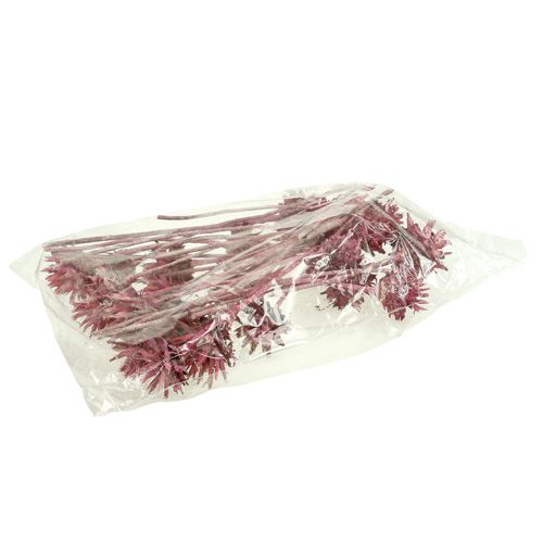 Article Fleurs de leucospermum Givrée couleur mûre 24-35cm 25pcs