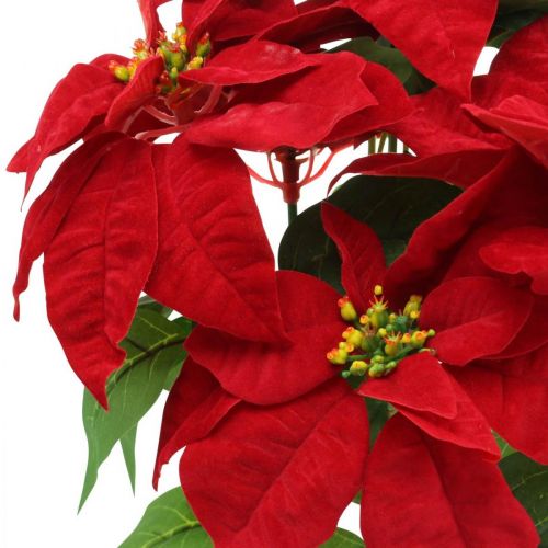 Floristik24 Étoile de Noël artificielle Rouge Fleurs artificielles en pot H53cm