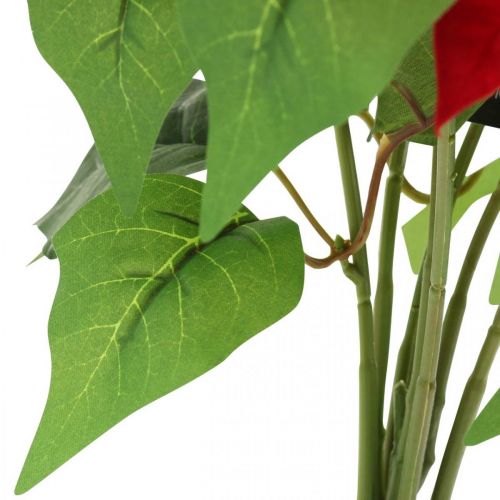 Floristik24 Étoile de Noël artificielle Rouge Fleurs artificielles en pot H53cm