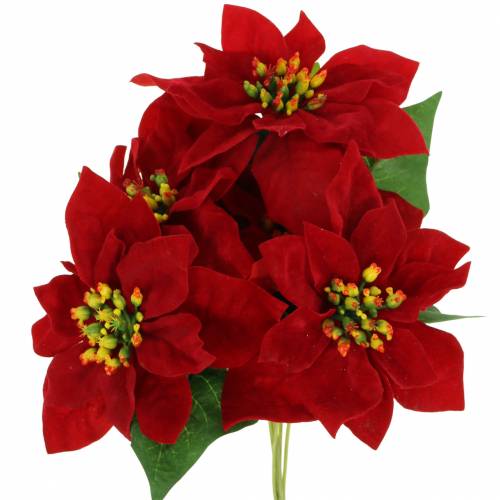 Floristik24 Bouquet de poinsettias velours rouge 35cm