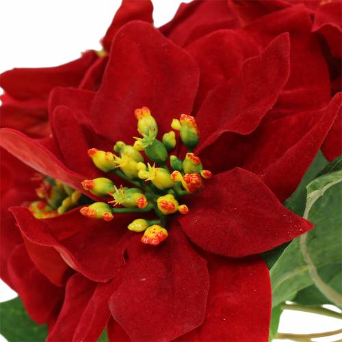 Floristik24 Bouquet de poinsettias velours rouge 35cm
