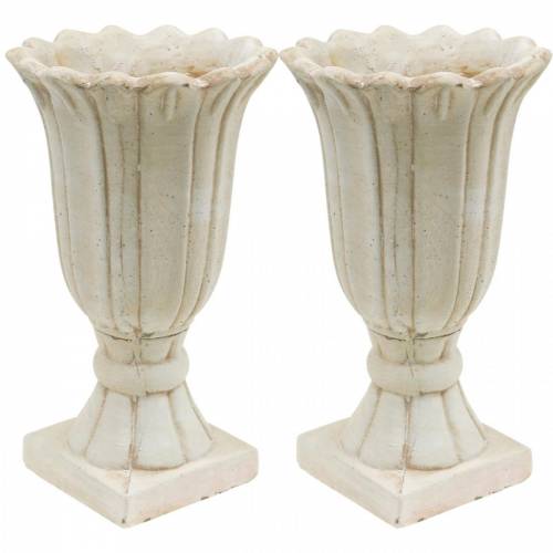 Floristik24 Amphore décorative, gobelet à planter, pot de plantation de tulipes en gobelet Ø12cm H25.5cm 2pcs