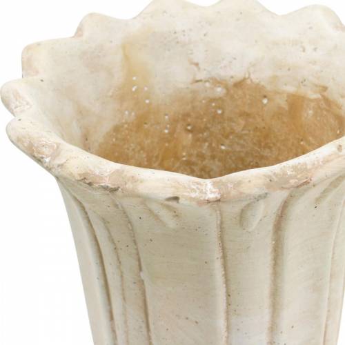 Floristik24 Amphore décorative, gobelet à planter, pot de plantation de tulipes en gobelet Ø12cm H25.5cm 2pcs