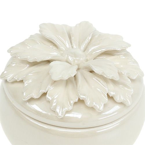 Floristik24 Boîte en porcelaine crème Ø 7,5 cm H.6 cm