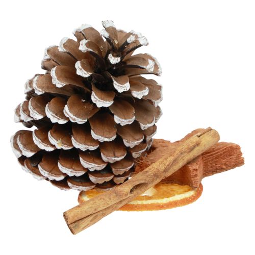 Floristik24 Pot-pourri Noël tranches d&#39;orange cornets bois de cannelle 150g