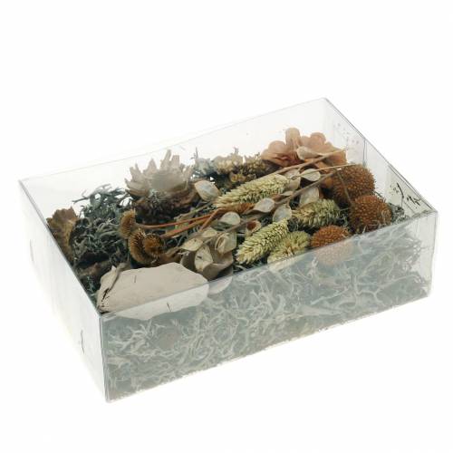 Floristik24 Herbstdeko Mix comme kit d&#39;artisanat Séché Blanchi 150g