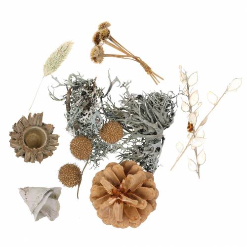 Herbstdeko Mix comme kit d&#39;artisanat Séché Blanchi 150g