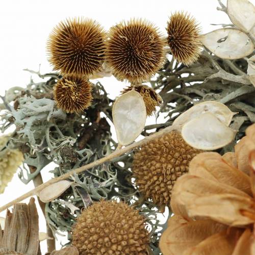 Floristik24 Herbstdeko Mix comme kit d&#39;artisanat Séché Blanchi 150g