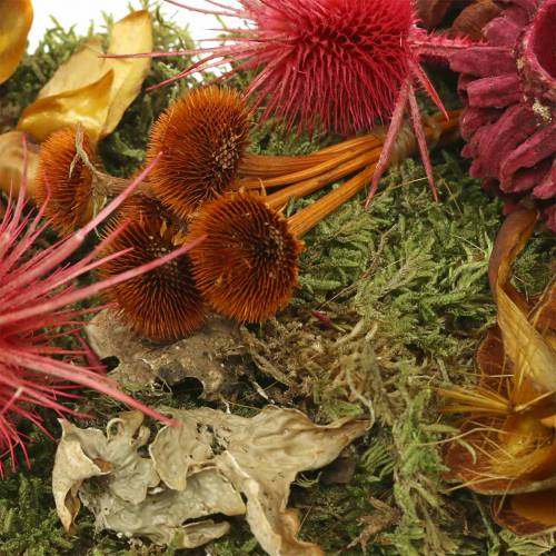 Article Mélange de fleurs à sec avec cônes et mousse rouge 150g décoration d&#39;automne