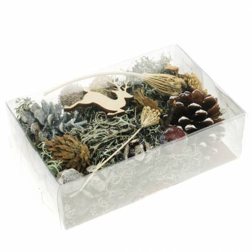 Floristik24 Set artisanat floral sec Cônes de l&#39;Avent et mousse lavés à la chaux 150g
